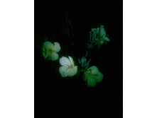 02.08.2011 10:06:15