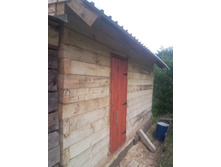 SNC00088.jpg