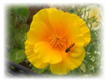 DSCN7738-1.jpg
