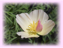 DSCN7750-1.jpg