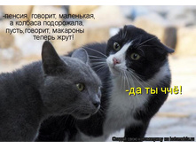 913431.jpg