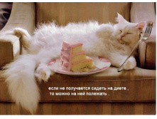 cat_birthday_cake.jpg