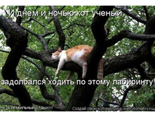 kotomatrix_10.jpg