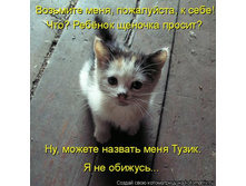 kotomatrix_14.jpg