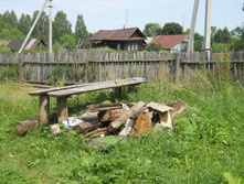 20110726 7870.JPG