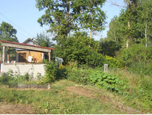 DSCN7914-1.JPG
