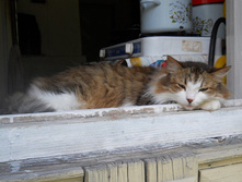 DSCN7693.JPG
