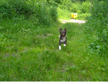 DSCN1878.JPG