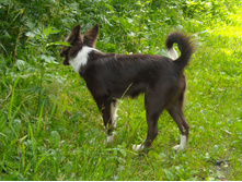 DSCN1880.JPG