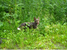 DSCN1889.JPG