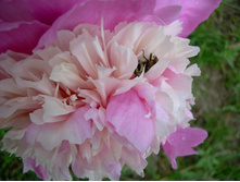 DSCN3131.JPG
