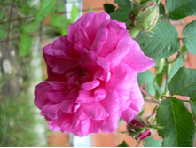 DSCN3132.JPG