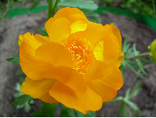 DSCN3078.JPG