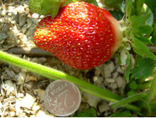DSCN3140.JPG