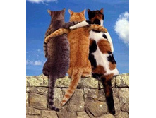 9760762-trio.jpg