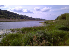 IMAG0710.jpg