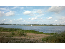 06082011.jpg