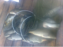 060820111177.jpg