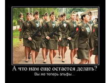 1310049995_085.jpg
