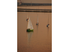 DSC08222.JPG