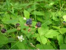 DSCN1290.JPG