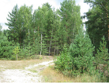 2011-08-06_13-45-27.jpg