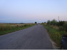 DSC02459.JPG