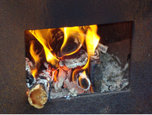 DSC02510-1.jpg