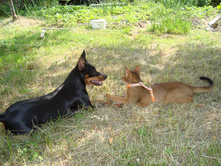 DSC01120.JPG