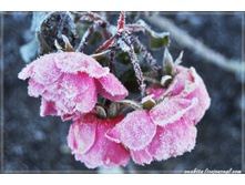 78f3daffff01ffb0cb238111a7a0a958.jpg