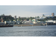 SAM_3118.JPG