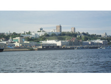 SAM_3119.JPG