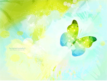 the_lights_butterflies_.jpg