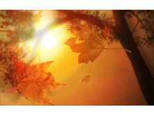 Autumn Wallpapers (4).jpg