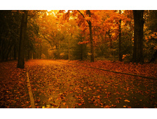 Autumn Wallpapers (12).jpg