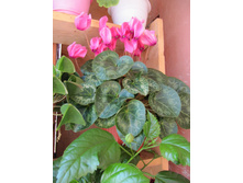 11.08.2011 9:30:45
