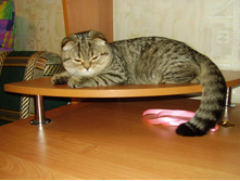 ����� P8110103.JPG