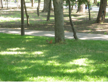 IMG_2906.jpg