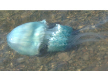 24092010062.JPG