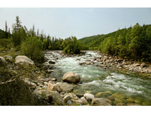 IMG_0134_copy.jpg