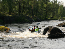 IMG_2290.JPG