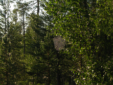 IMG_2597-66.JPG