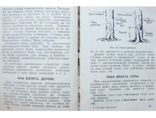 mm0049.jpg
