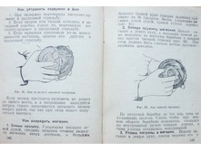 mm0072.jpg
