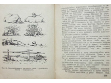 mm0120.jpg