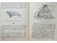 mm0165.jpg
