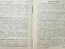 mm0169.jpg