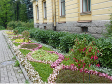 P1030471.JPG