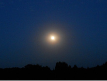 DSCN8455.JPG