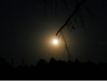 DSCN8458.JPG